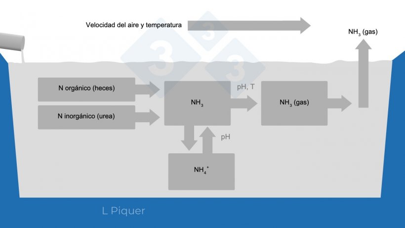 Gr&aacute;fico 2.&nbsp;Ciclo de formaci&oacute;n del&nbsp;amoniaco (NH3) durante el almacenamiento del pur&iacute;n.
